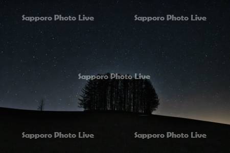マイルドセブンの丘と星空