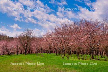 聖台ダム公園