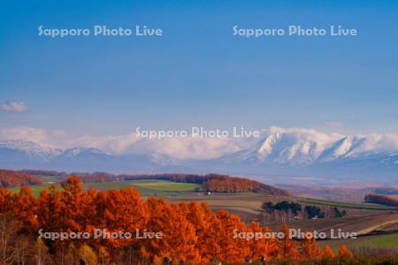 紅葉の丘と十勝岳連峰