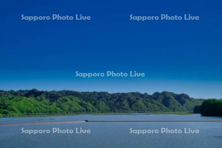 にぶたに湖
