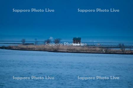 野付半島　トドワラ