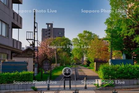 旧手宮線跡地