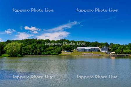 鶴沼公園