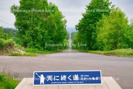 天に続く道