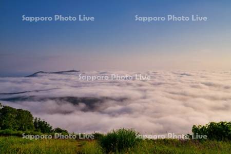 天狗山より雲海