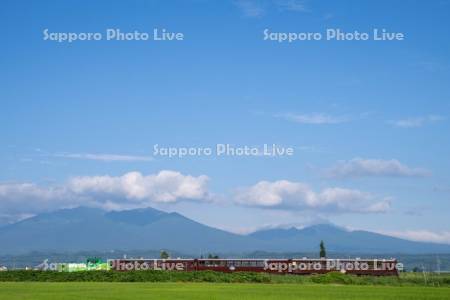 富良野・美瑛ノロッコ号