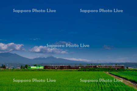 富良野・美瑛ノロッコ号