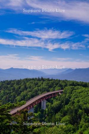三国峠　松見大橋　R273