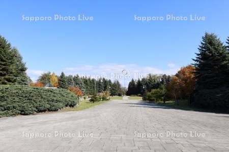 前田森林公園