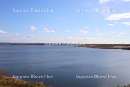 ウトナイ湖
