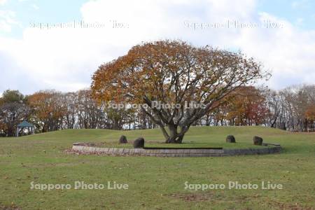 緑ヶ丘公園