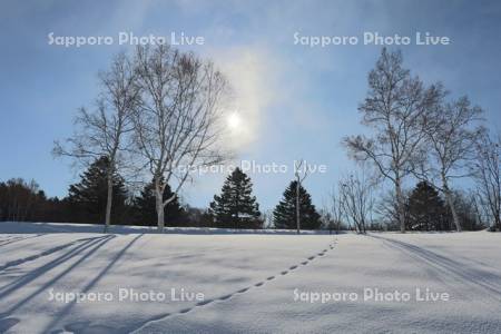 真駒内公園　雪原と足跡