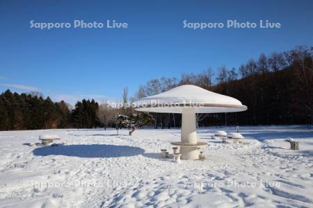 真駒内公園　きのこ広場