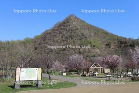 五天山公園