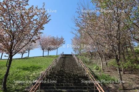 五天山公園