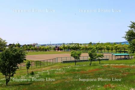 新篠津運動公園野球場