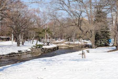 中島公園　雪解けの鴨々川