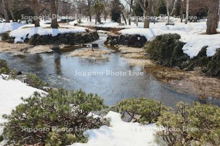 中島公園　雪解けの鴨々川