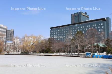 中島公園　凍った菖蒲池