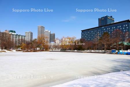 中島公園　凍った菖蒲池