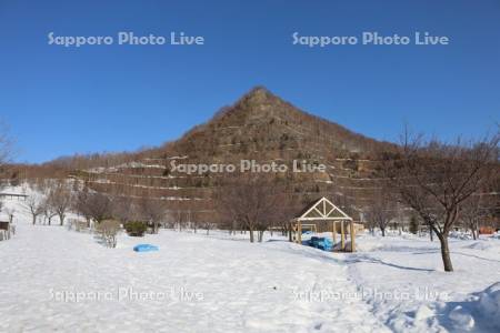 雪解けの五天山公園
