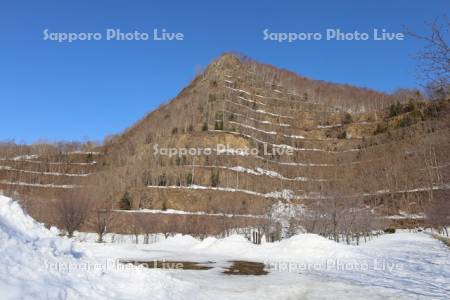 雪解けの五天山公園