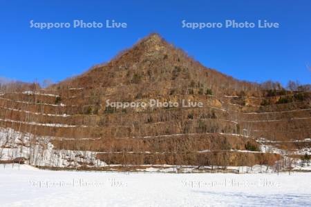 雪解けの五天山公園