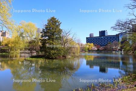 中島公園　菖蒲池