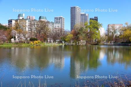 中島公園　菖蒲池