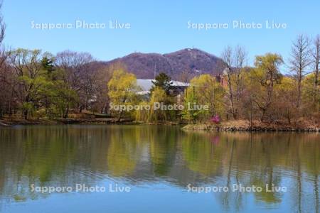 中島公園　菖蒲池と藻岩山