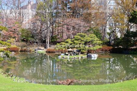 中島公園　日本庭園