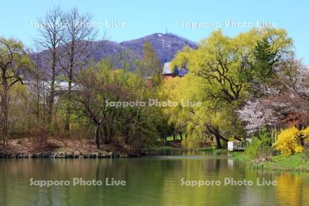中島公園　菖蒲池と藻岩山