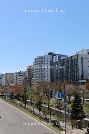 創成川公園と縦型信号機