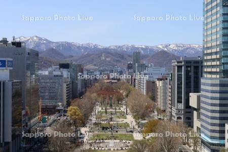 テレビ塔より大通公園