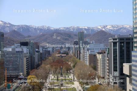 テレビ塔より大通公園