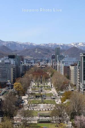テレビ塔より大通公園