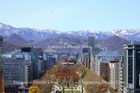 テレビ塔より大通公園