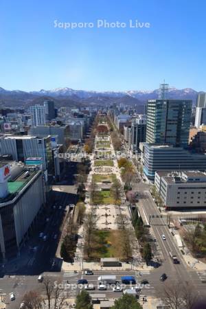 テレビ塔より大通公園