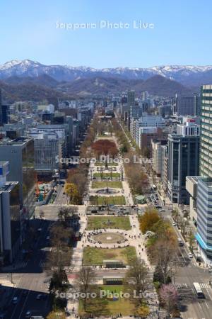 テレビ塔より大通公園