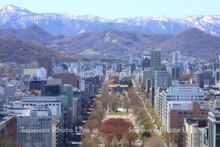 テレビ塔より大通公園