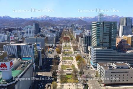 テレビ塔より大通公園