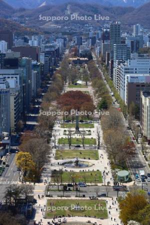 テレビ塔より大通公園