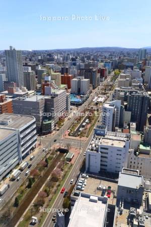 テレビ塔より創成川公園