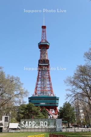 大通公園とテレビ塔