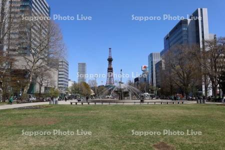 大通公園　噴水とテレビ塔