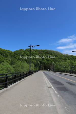 藻南橋