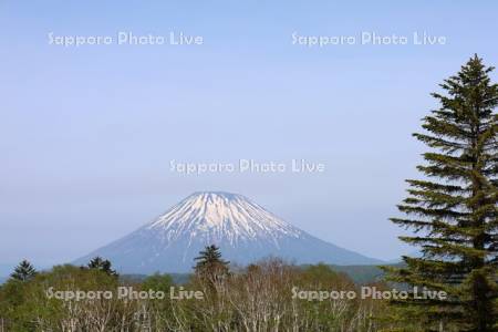 中山峠より羊蹄山