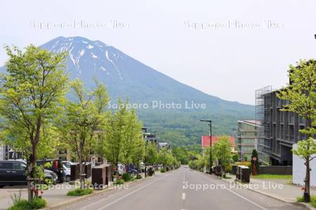 ひらふ坂と羊蹄山