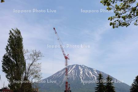 タワークレーンと羊蹄山