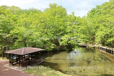 ふきだし公園